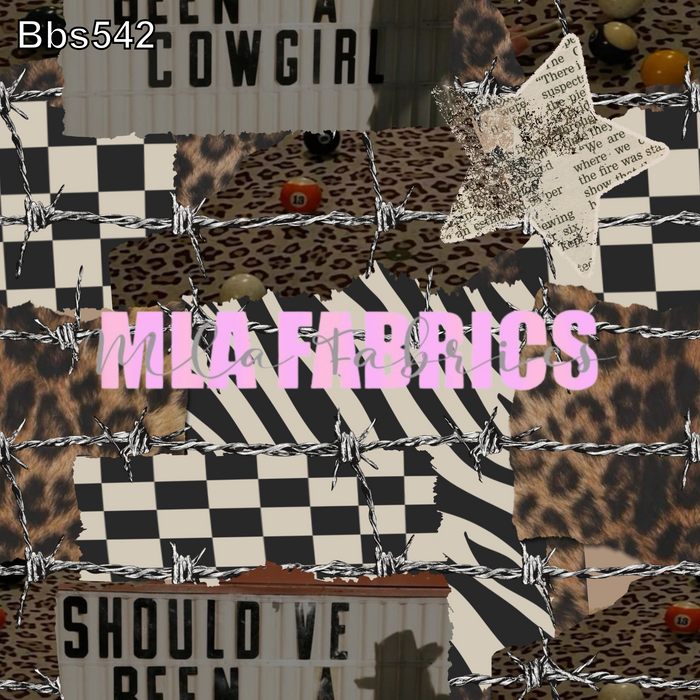 BBS542