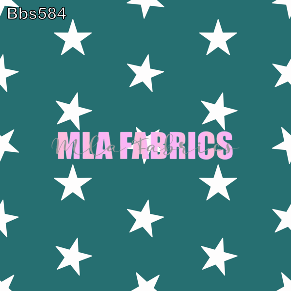 BBS584