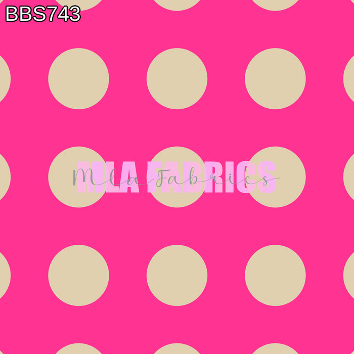 BBS743