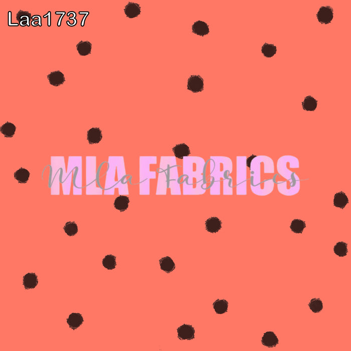 LAA1737