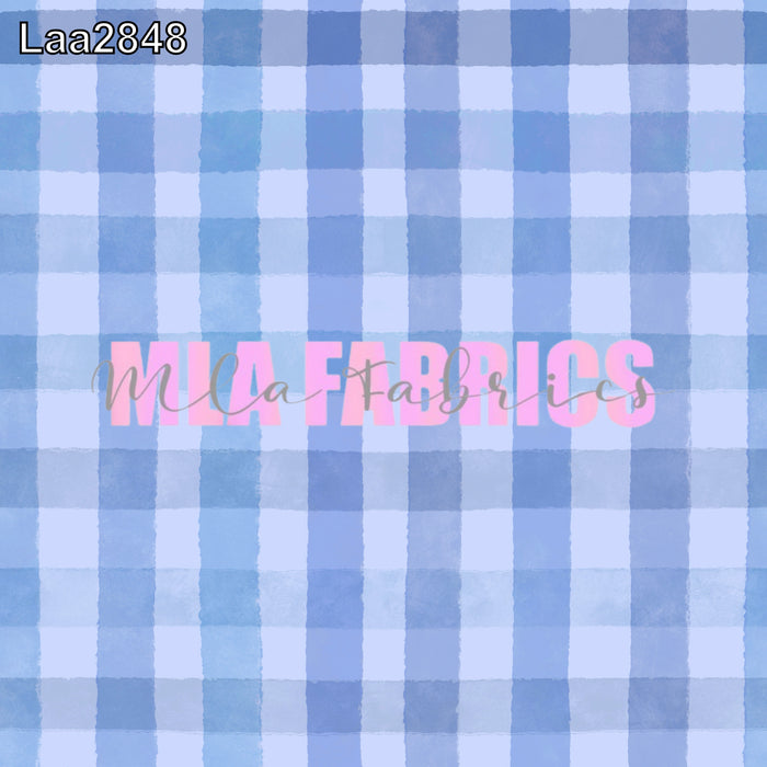 LAA2848