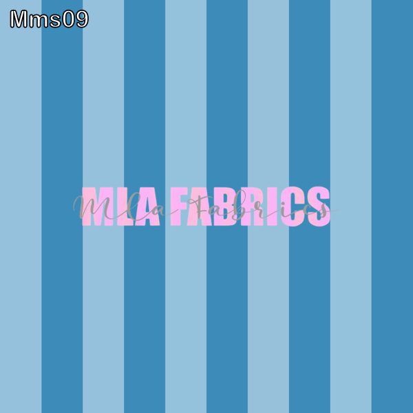 MMS09