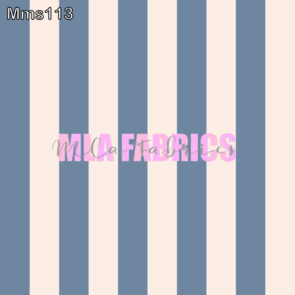 MMS113
