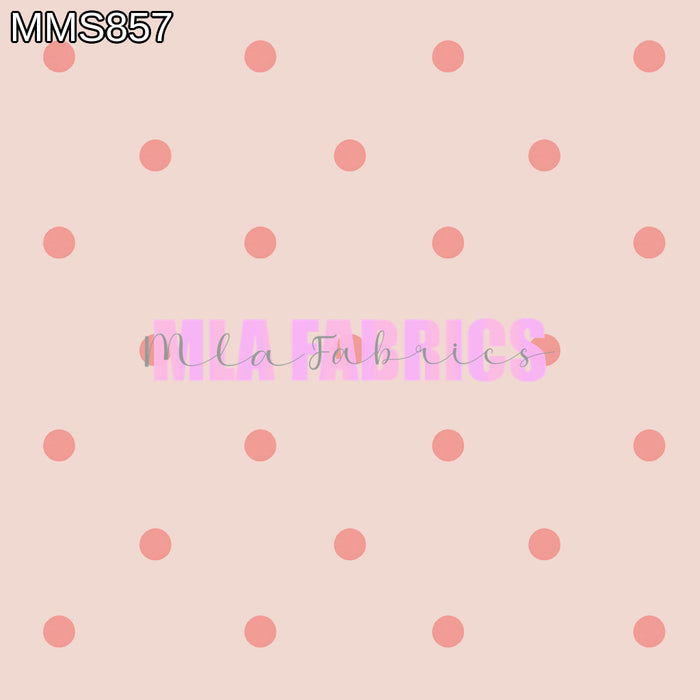 MMS857