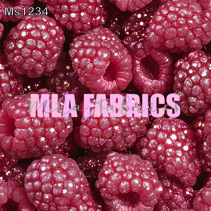 MS1234