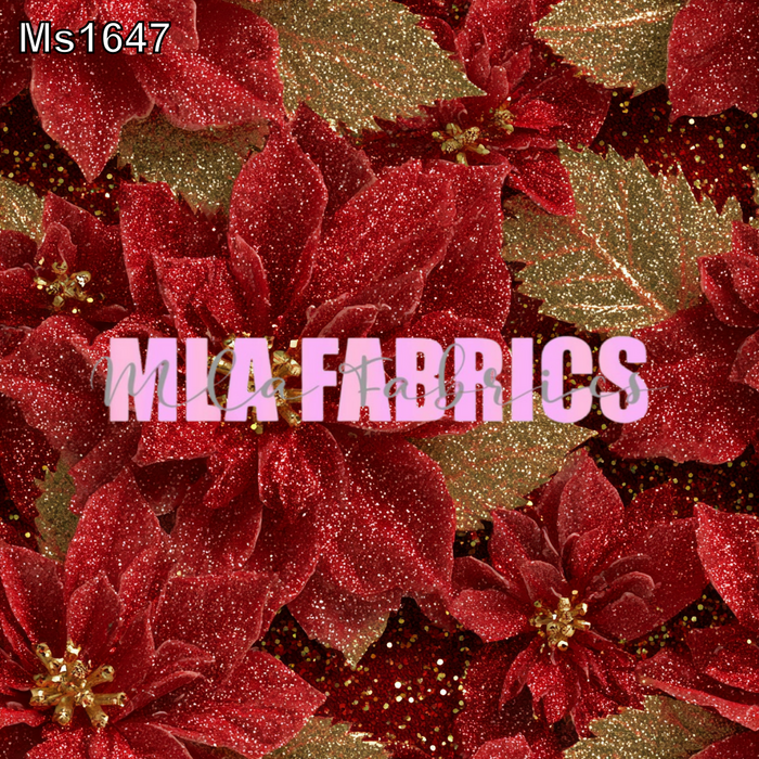 MS1647