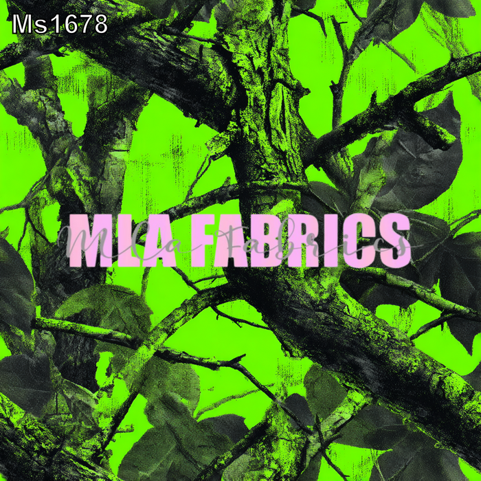 MS1678