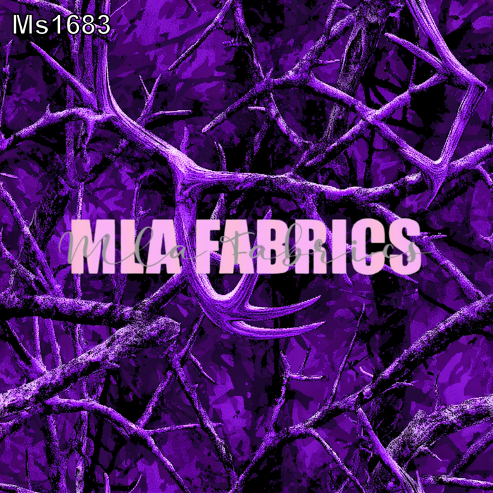MS1683