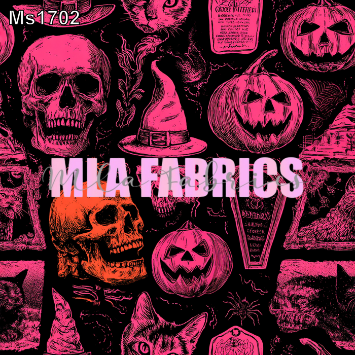 MS1702