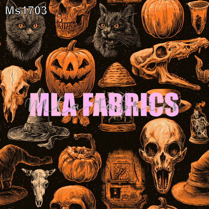 MS1703