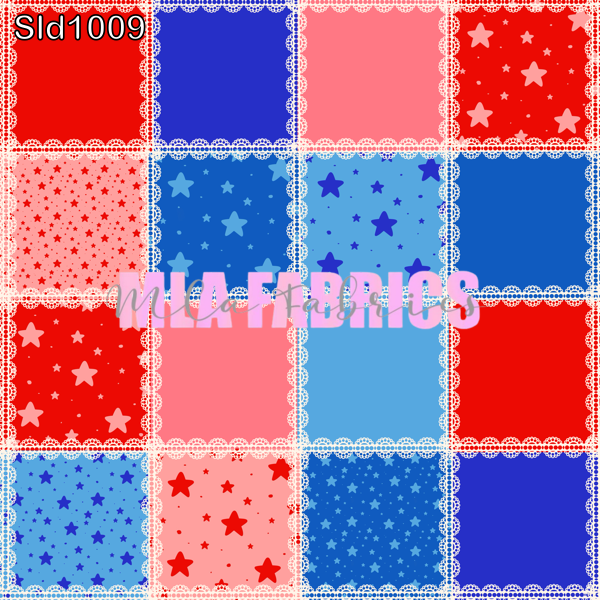 SLD1009