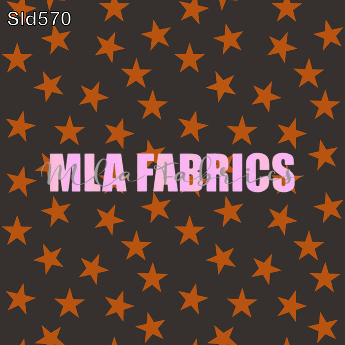 SLD570
