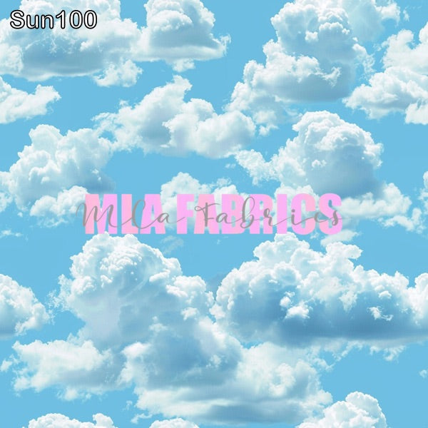 SUN100