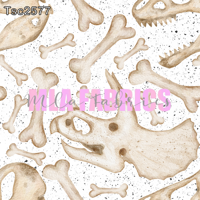 TSC2577
